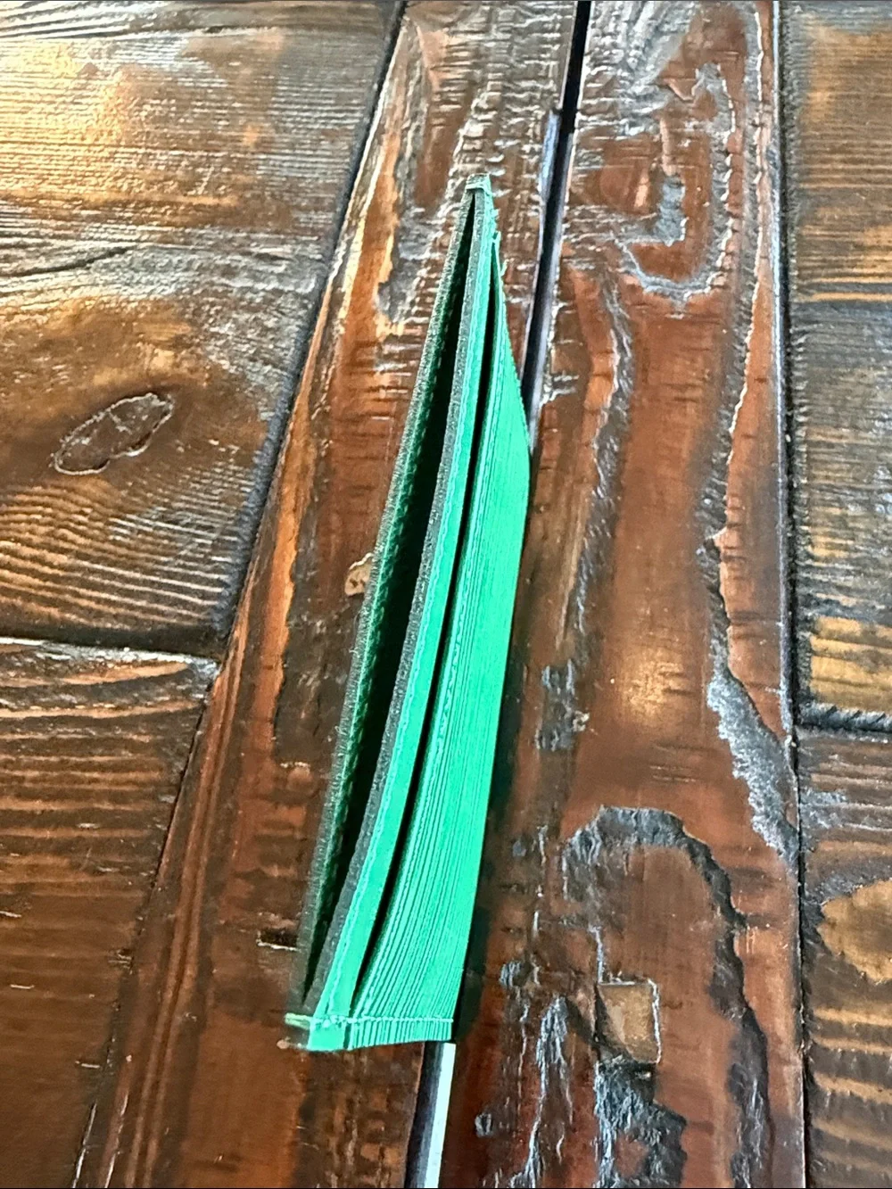 Louis Vuitton Green Epi Leather Card Sleeve
